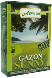 Verdon Amestec Seminte Gazon SOARE - 1 kg (PR-100263)