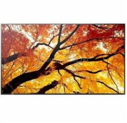 NEC MultiSync M752 60006057