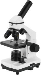 Timeless Tools HOP1001773