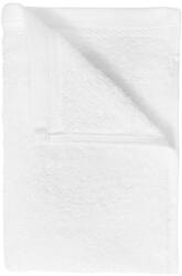 The One Towelling 1081 / Biopamut vendégtörölköző - fehér 30x50cm (48108100199)