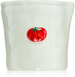 Paddywax Bistro Heirloom Tomato illatgyertya 226 g