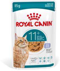 Royal Canin AGEING 11+ Jelly eledel zselében 11 év feletti öregedő macskák számára 36 x 85 g