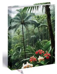 Realsystem Határidőnapló 2026 B/6 kétnapi REAL 2-day orchidea (5441-63)