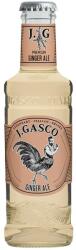  J. Gasco Ginger Ale DRS (0, 2L)