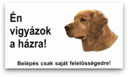 Petportal Matricás feliratos tábla 023 golden retriever - Én vigyázok a házra 16, 5x10cm (PNTKM2-023)