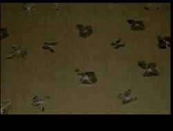 Orient Fashion Spandex Csillám Mintás Anyag Sötét Olíva 0.5 Méter (Spandex_Motylki Nr_1_Ciemna_Oliwka 0,5)