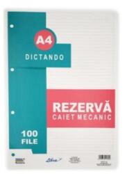 FARA MARCA Rezerve caiet mecanic A4 100 file/set, dictando (HH104210)