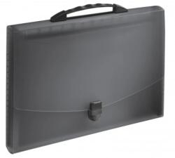 Esselte Mapa plastic 12 compatimente cu maner neagra VIVIDA ESSELTE (ES624024)