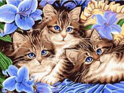 NORIMPEX - Puzzle Pictura cu diamant: Trei pisoi in flori 30x40cm - 1 - 39 piese