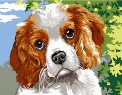 NORIMPEX - Puzzle Pictura cu diamant: Ochi de câine 30x40cm - 1 - 39 piese