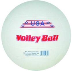  USA Volley röplabda - 21 cm (19669)