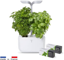 Véritable Exky SMART - alb + 2 rezerve de plante