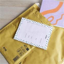 BLUERING Légpárnás tasak 16/F szilikon külső méret 240x350mm, belső méret 220x340mm, BlueringR barna (BLUERING_LEGPBAR16F) (BLUERING_LEGPBAR16F)