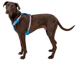 Ruffwear Hi & Light hám, Blue Dusk L/XL