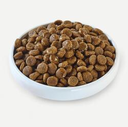 Applaws Dog Taste Toppers in Bone Broth Marhacsontleves 6 x 200 g