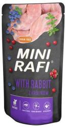 RAFI Adult Mini GF with Rabbit 10 x 150 g