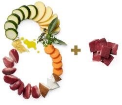 Terra Canis Essential 8 Chicken & Horse 385 g