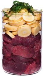 Terra Canis Hypoallergenic Ostrich & parsnip 400 g