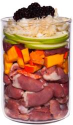 Terra Canis Grain-free Chicken with parsnip, blackberry & dandelion 400 g