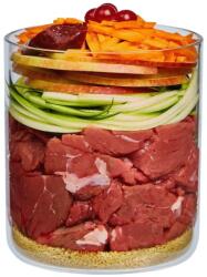 Terra Canis Puppy Beef with apple, carrot & rose hip 800 g