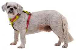 Ruffwear Hi & Light hám, Lichen Green S