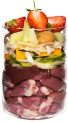 Terra Canis Grain-free Duck with pumpkin, strawberry & elderflower 200 g