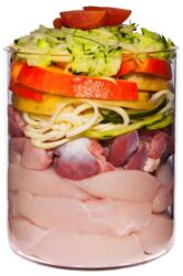 Terra Canis Senior Chicken with cucumber, pumpkin & herbs 800 g