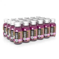GymBeam VanaVita BIO Ginger shot with aronia 24 x 60 ml fără aromă