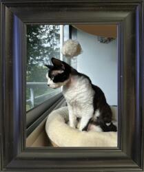 Knor Fekete képkeret 15x21 cm, fotókeret, széles keret (15x21 LL15,25,012)