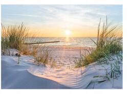 Wallarena Fotótapéta Nappali Hálószoba 3D Tengerpart Dűnék Fali Tapéta 368x254 (Fototapeta Do Sypialni Salonu 14020V8)