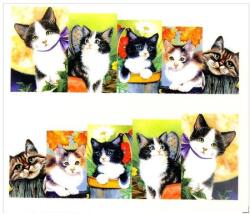  Körömmatrica - A129 Cica