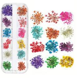  Szárított virág box #1M