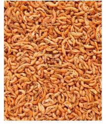 Glopex Gammarus, szibériai szárított, 50g (35)