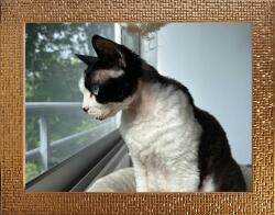 Marek & Darek MID Keret Felakasztható Képek Puzzle 30X40 4 CM Arany (5904996591045)