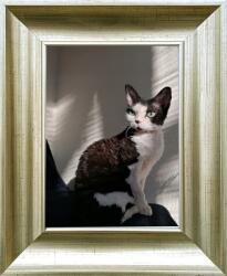 Marek & Darek Felhelyezésre Vagy Felakasztásra Kész Keret 15X21 Velence 4, 5 CM Ezüst (5904996597047)