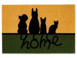 Livarno Home Lábtörlő macskáknak csúszásgátló padlószőnyeg ajtóhoz 40 x 60 cm (44377)