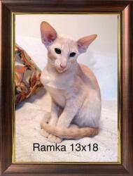 Marek & Darek Klasszikus képkeret falra és asztalra, 13x18 cm, sárgaréz színű, Garden (5904996596538)