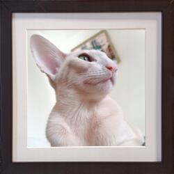 Marek & Darek Felakasztható és felállítható képkeret 20X20 cm fa pass-epartout (5904996597009)