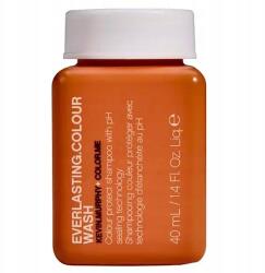 Kevin Murphy Everlasting. colour Wash Hajszín erősítő sampon (KEVIN MURPHY)