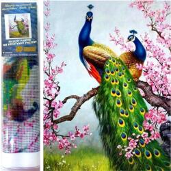 NORIMPEX - Puzzle Pictura cu diamant: Pauni 30x40cm - 1 - 39 piese