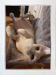 Marek & Darek Képkeret Felhelyezésre Vagy Felakasztásra Kész Fotó 10X15 Titán Fehér 2 CM (5904996596972)