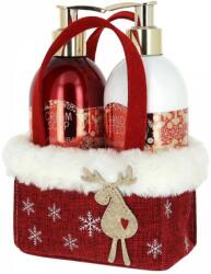 VIVIAN GRAY Set Red X-Mas Sapun lichid 250ml + Lotiune de maini 250ml, Vivian Gray