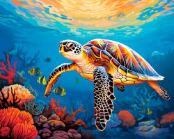 Alkotásutca Korallok közt - Számfestő készlet kereten 40x50