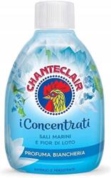 Chante Clair Chanteclair I Concentrate Illatosító Mosószappan Tengeri Só és Lótusz 220 ml (8015194524029)