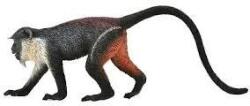 CollectA COLECTA Cat Dianin (M1188673) Figurina