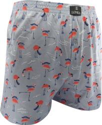 Fuski BOMA s. r. o LONKA KARLOS IMAGE / Férfi pamut rövidnadrág - flamingók II XXXL (120395)