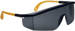 Delta Plus DELTA KILIMANDJARO SMOKE / Egyrészes védőszemüveg oldalsó védelemmel, ideális laboratóriumi használatra - füstölt (KILIMNOFU100)