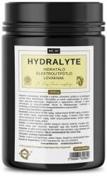 Quebeck Hydralyte só és elektrolitpótló kiegészítő takarmány lovak részére, 1000g