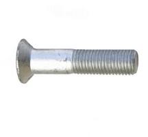 Schaefer-Peters Surub Cap Tesit pentru Termoplaste Inox A2-4.0 X 12 (X0329412S)