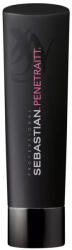 Sebastian Professional Penetraitt Shampoo 250 ml - vince - 108,99 RON
